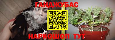 дурь Будённовск